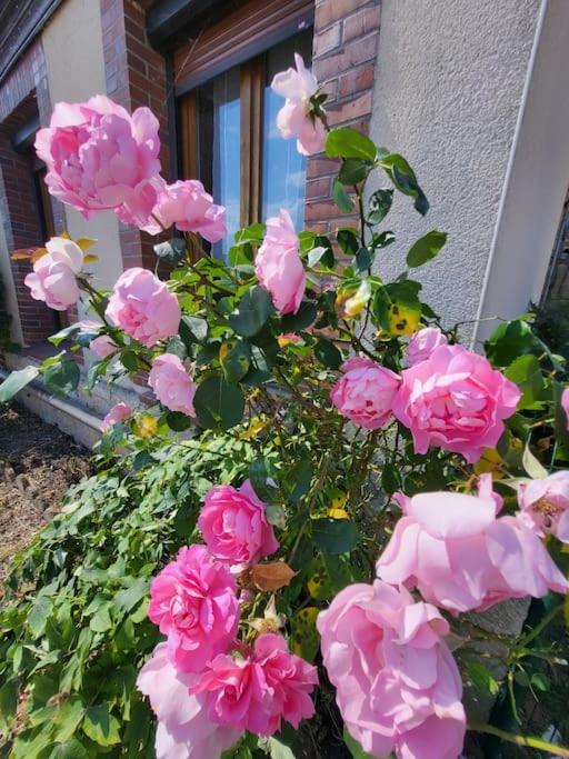 L'Oree Des Lacs, Maison De Village Tout Confort Radonvilliers エクステリア 写真