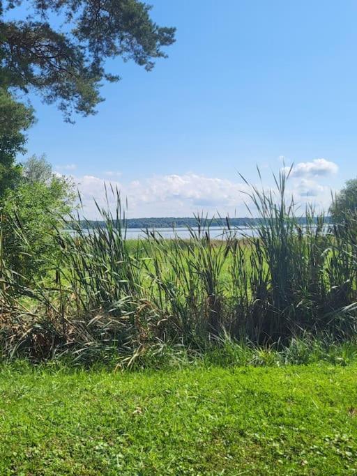 L'Oree Des Lacs, Maison De Village Tout Confort Radonvilliers エクステリア 写真